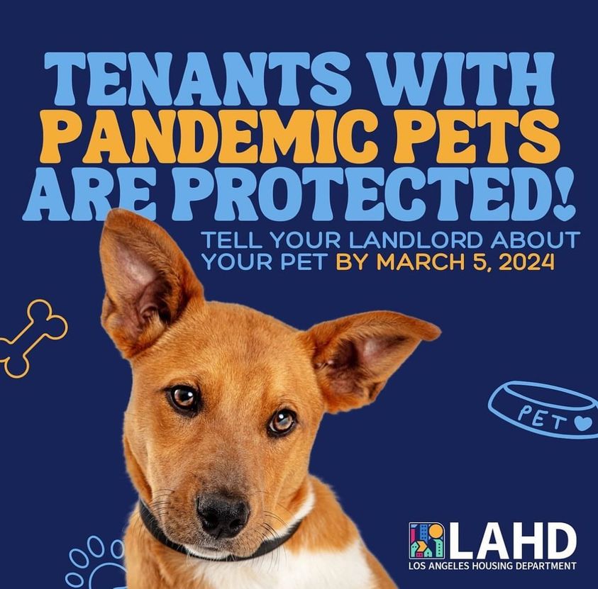 URGENT-Renters if you adopted a pet during COVID-Act Now to protect you and Your Pet