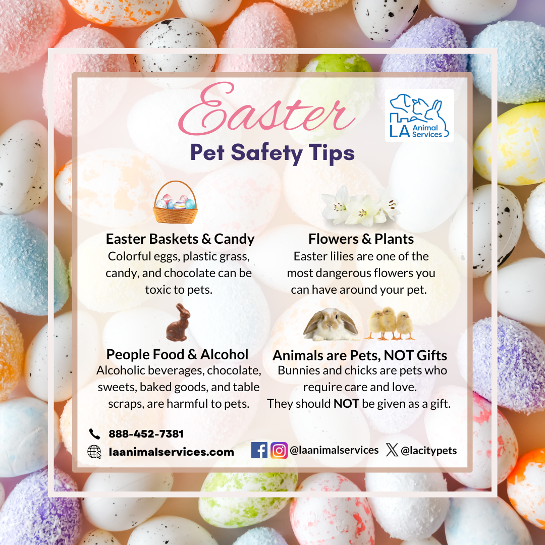 LA ANIMAL SERVICES TIPS AND ADOPTION EVENTS